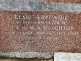 image of grave number 206121